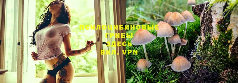 Псилоцибиновые грибы MAGIC MUSHROOMS  Дюртюли 